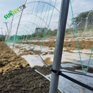 Rete di supporto per piante da giardino da 6,6x328 piedi cetriolo rete da arrampicata fiori vegetali - Product Image 3