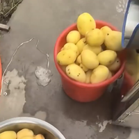 Machine industrielle électrique à brosser et à peler les légumes, les pommes de terre et le gingembre, éplucheur de légumes en acier inoxydable