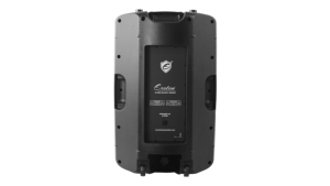 Altavoz Pasivo Doble de 12 Pulgadas HYANKA MX-P12, Altavoz PA de 100W RMS, Imán de 40oz, Bobina de Voz de 50mm, Altavoz Pasivo Profesional - Product Image 3