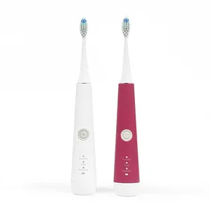 Spazzolino elettrico USB ricaricabile automatico sonico spazzolino sbiancante denti elettrico spazzolino da denti