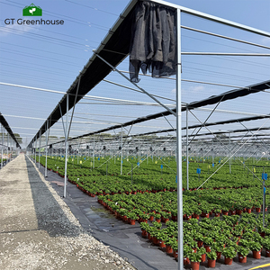 Serra ombreggiante con telaio in acciaio zincato a caldo GT <span class=keywords><strong>per</strong></span> coltivazioni agricole - Product Image 4