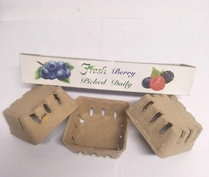 Modellato in fibra di polpa cesto di bacche produrre contenitore ventilato <span class=keywords><strong>per</strong></span> frutta e verdura Farmer Market <span class=keywords><strong>negozi</strong></span> di alimentari e festa in giardino - Product Image 3