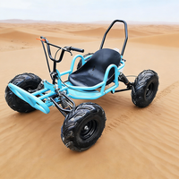 Kart todoterreno a gasolina de 2 tiempos para carreras, con transmisión por cadena, accesorios para uso en exteriores
