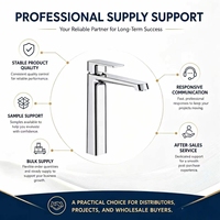 Robinet de lavabo en laiton, mitigeur monocommande pour eau froide, Torneira Para Pia De Banheiro