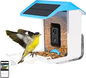 Dennenmeer Zonne-Energie Opladen Slimme Vogelvoeder Waterdicht Identificeren Vogelsoorten Auto Capture Met Camera