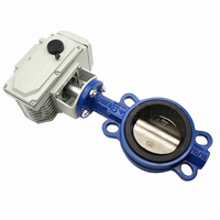 Vanne papillon fendue pour transfert de poudre, Vanne papillon sanitaire, Vanne papillon avec joint, Actionneur électrique DN100 24V motorisé