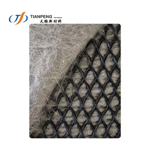 2D nhựa geocomposite cống Net cho đường hầm hoặc đập nước mưa lưới thoát nước - Product Image 2