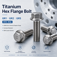 Boulon à bride hexagonale en titane GR1 GR2 GR5 M10-M36 pour bride de pipeline chimique ASME B16.5, résistant à la corrosion, OEM