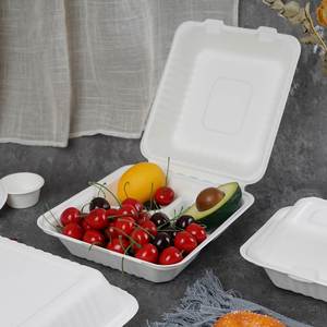 Caja de bagazo biodegradable desechable para comida rápida, contenedor de almuerzo, tubo de bagazo de caña de azúcar recubierto, con cierre elegante tipo concha - Product Image 3