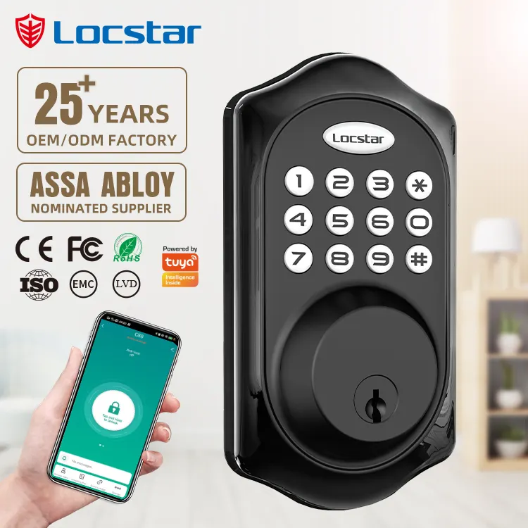 2024 Luxury Villa Smart Electronic Tuya Automatic Key Home Door Lock for Wooden Doors with Bluetooth WiFi Password Protection