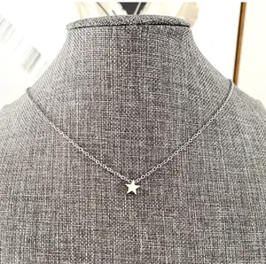 Delicate non-tarnish star necklace STAINLESS STEEL STAR necklace choose size length of chain goes hypoallergenic