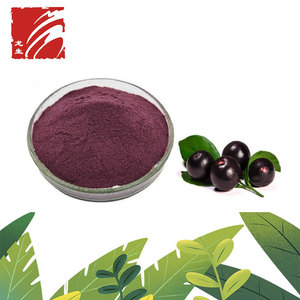 Suministro de fábrica LongSheng 100% polvo de fruta natural orgánica Acai Berry en polvo - Product Image 4