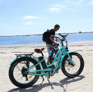 Ristar-vélo électrique pliable pour jeunes femmes, pneu large, vélo de neige, vente directe d'usine, <span class=keywords><strong>2022</strong></span> - Product Image 4