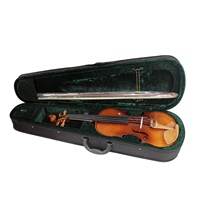 Violon Populaire 4/4 Couleur Naturelle, Bois du Brésil Massif pour Étudiants, Enfants, Débutants et Adultes