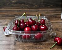Boîtes d'emballage transparentes en plastique jetables de 8oz Flip Top pour les aliments à emporter de fruits