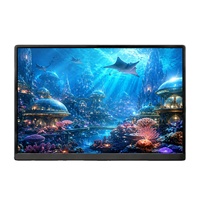Moniteur portable professionnel 14 pouces 508g IPS 1920x1200 avec double USB-C et Mini HDMI, support folio, idéal pour les voyages et le travail – Vente en gros usine