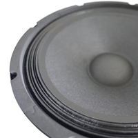 Haut-parleur de voiture 51,5 mm de diamètre de bobine vocale 300 watts 140 aimants 10 pouces caisson de basses de voiture