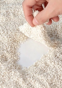 Vente en gros directe usine – Litière pour chat en manioc non toxique, agglomérante, sans poussière, avec emballage personnalisé et logo sur mesure - Product Image 4