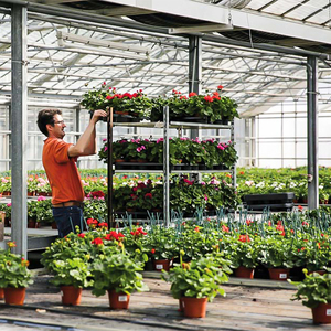Carro de jardín de flores rodantes para vivero de alta capacidad, malla de alambre de acero y goma para herramientas al aire libre, tipo de carretillas - Product Image 3