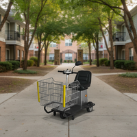 Scooter électrique à 3 roues de haute qualité E-Quad 24V avec batterie au plomb pour panier et supermarché Cosco