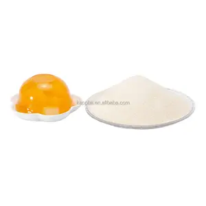 Nhà Máy Bán buôn biển Unflavored cá gelatin phụ gia thực phẩm CAS 9000-70-8 thịt lợn da gelatin