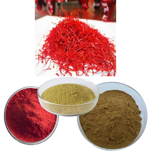 Высококачественный растительный экстракт Картамуса, сафлоровый порошок - Product Image 4