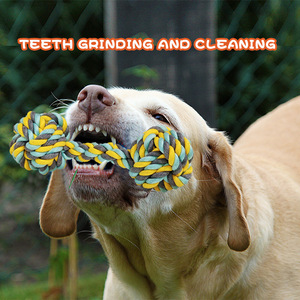 Mainan Gigit anjing, tali Dumbbell wortel interaktif gigit hewan peliharaan - Product Image 2