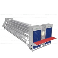 Cage à batterie de type A pour poules pondeuses, cages automatiques pour poulets, équipement d'élevage avicole pour pondeuses
