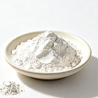 Poudre de kaolin calciné résistant à la chaleur, qualité réfractaire, argile blanche 600 mesh pour émail céramique, briques réfractaires et articles sanitaires