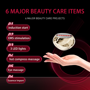 USB Rechargeable Facial Beauty Machine 60s Auto <b>Sleep</b> 10min Power Off Protection Face Massager Device - Product Image 4