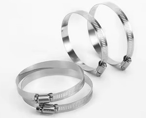 Bán Buôn 304 Thép Không Gỉ T-Bolt Kẹp Đầu Phẳng Mùa Xuân Ống Clip Nhiệm Vụ Nặng Nề Cho Mạnh Mẽ Ống & Ống Ống Ống - Product Image 1