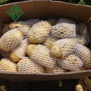 Pommes de terre fraîches, 100-600g, exportation de la chine