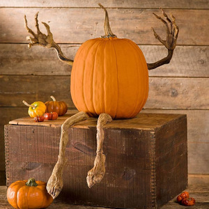 Set di 4 Braccia e Gambe di Zucca Flessibili <span class=keywords><strong>in</strong></span> Resina per Creare Decorazioni di Halloween Fantasiose - Product Image 5