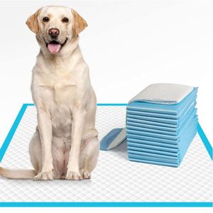 Alfombrillas de Entrenamiento para Perros, Biodegradables, Desechables, Económicas, a Prueba de Fugas, para Orina de Mascotas - Product Image 1