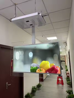 Écran LCD transparent 3D Pantalla 121 Tft Modules Panneau publicitaire Écran LCD suspendu