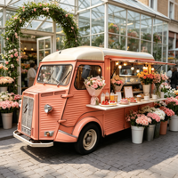 Camionnette alimentaire électrique rétro, directement de l'usine, avec vitrine réfrigérée électrique commerciale pour boulangerie, idéale pour les fleuristes