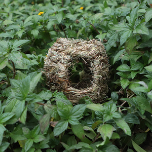 Straw Woven Bird Nest Medium Size Handmade <b>Outdoor</b> Garden Ornament <b>Tree</b> Mount Irregular Shape - Product Image 3