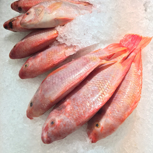 Tilapia roja congelada precio de la tilapia roja y negra - Product Image 1