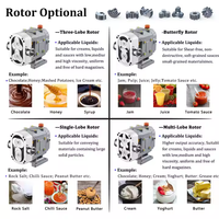 Suoto RP-1 Chocolat Miel Transfert De Qualité Alimentaire Machine De Remplissage Rotatif Sanitaire Gear Rotor Pompe À Lobe