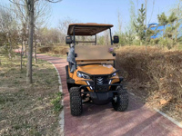 Buggy de chasse électrique à 4 roues motrices, nouvelle conception, 72V 100A, chariot de golf électrique au lithium avec contrôleur