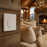 Interruptor de Pared Inteligente con Conexión Rápida Bingoelec, Certificado TUV, 5 Colores, Interruptor de Luz Inalámbrico de 1 Grupo