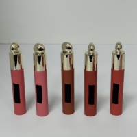 Brillo Labial Líquido de Alta Calidad en 5 Colores, Larga Duración, Acabado Natural Suave, Efecto Sedoso, Mate Suave, 3ml