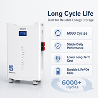Système d'alimentation de secours 51V 100Ah pour petites maisons et appartements, 8000 cycles, hors réseau, batterie de stockage 5kWh