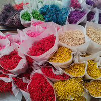 Fleurs de Gypsophile Séchées Naturelles de Haute Qualité, Fleurs Éternelles Préservées pour la Décoration de Mariage