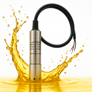 12V mực nước cảm biến IP 68 chìm mức độ Transmitter aquacer với gốm đo tế bào - Product Image 2