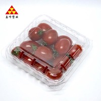 Contenants alimentaires rectangulaires en PET personnalisés en usine, 12 pouces, 10 pouces, assiettes décoratives, plateau de différentes tailles