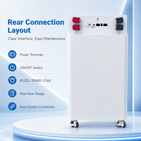 Gabinete con Ruedas para Baterías LiFePO4 de 51.2V 314Ah para Aplicaciones de Almacenamiento de Energía Limpia en el Hogar