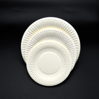 Assiettes en papier rondes blanches non couchées, jetables, écologiques, compostables, modernes, de plusieurs tailles, pour fêtes