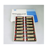 Dents artificielles antérieures en résine acrylique dentaire, dents de prothèse synthétiques