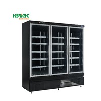 Réfrigérateur Commercial Économe en Énergie Highbright à Refroidissement Direct, 2 Portes, 5 Étagères, Construction en Acier Inoxydable
